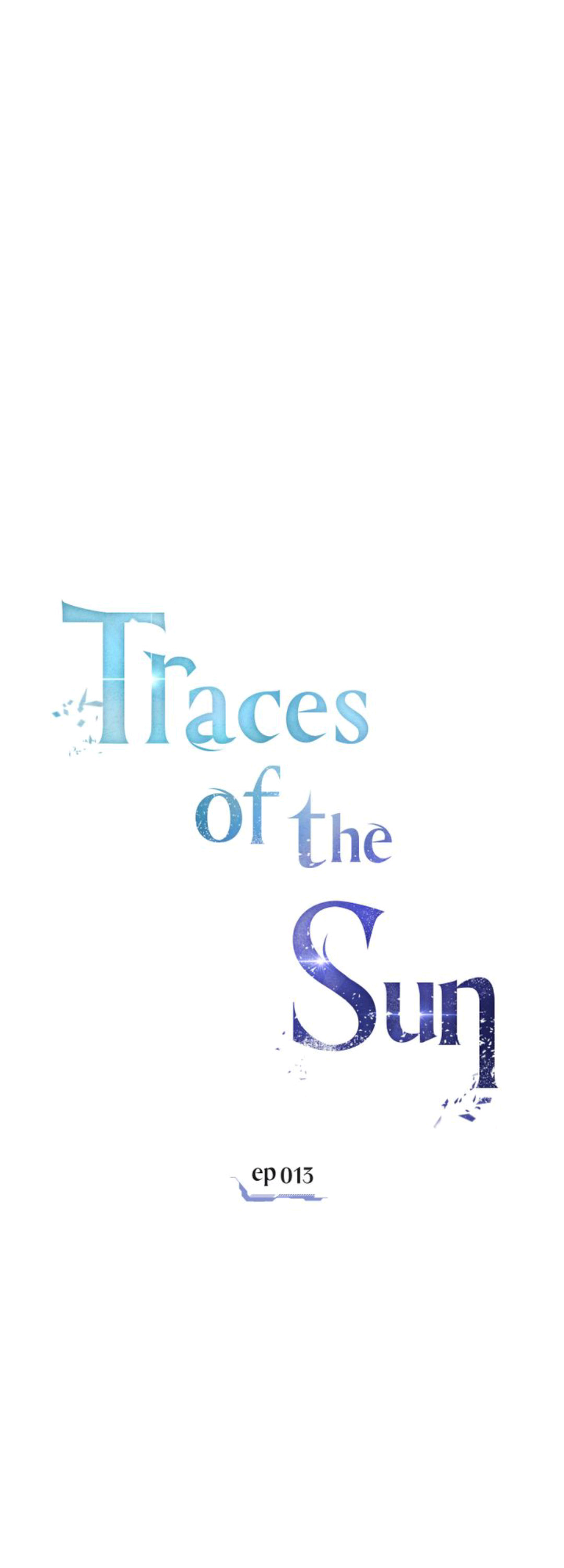 A Trace of the Wonder 13 (24)